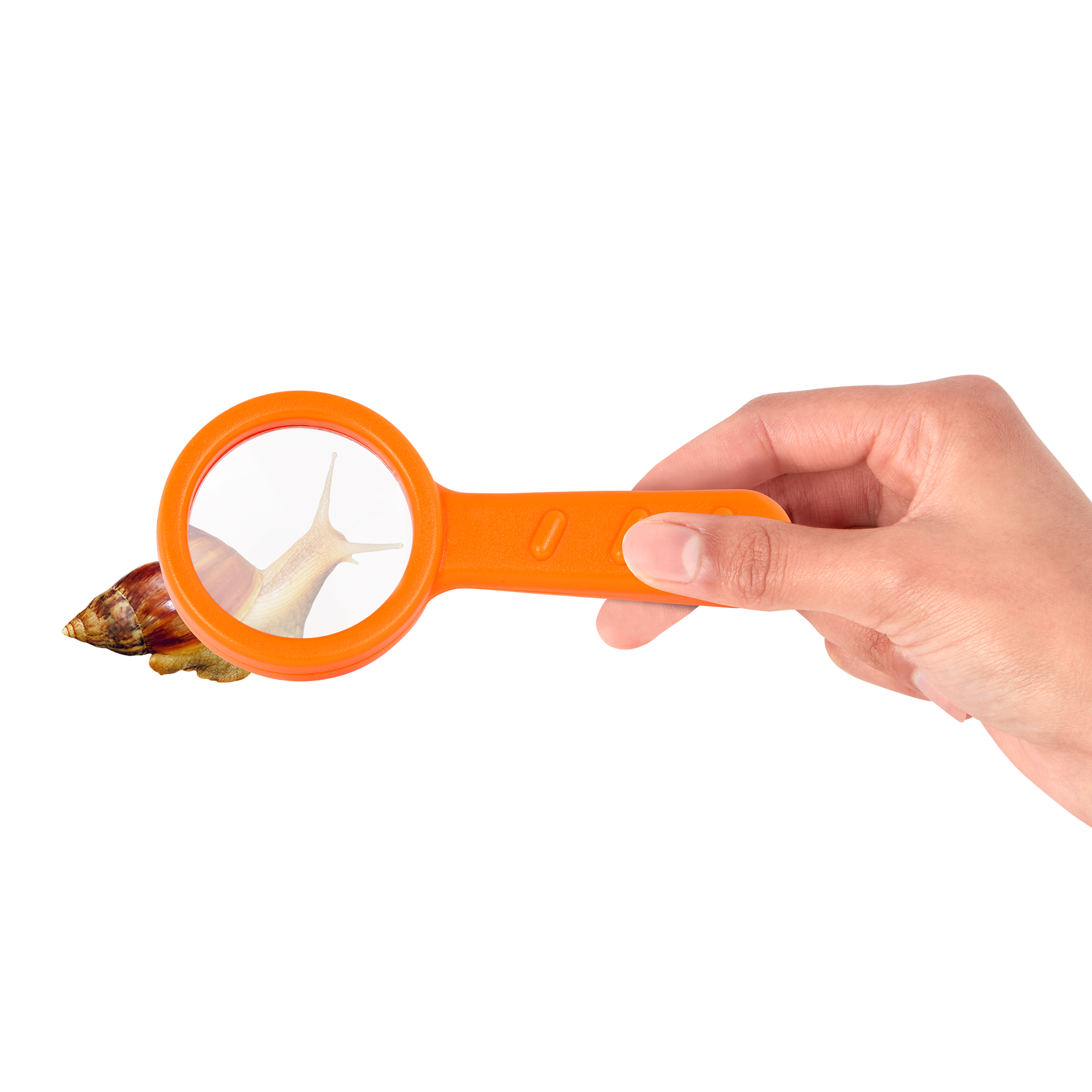 Insect Inspection Device Inspect an Insect Set | Bug Catching Vacuum | B. toys – B. toys Canada