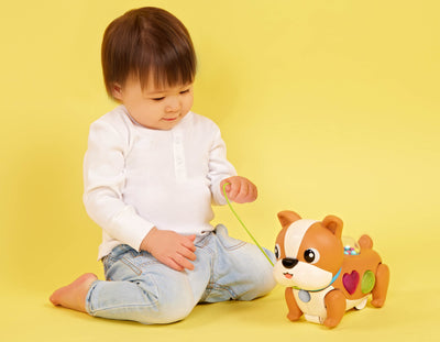 Pull toy dog with lights and sounds learning walking